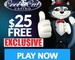 Cool-Cat-Casino WELCOME BONUS