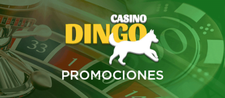 dingo casino|bono de bienvenida|casino en línea