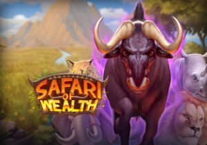 Safari of Wealth logo