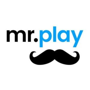 mr.play bigote negro